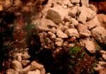 image-video1